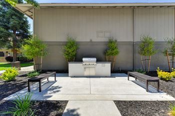 Chardonnay ridge | bbq grill